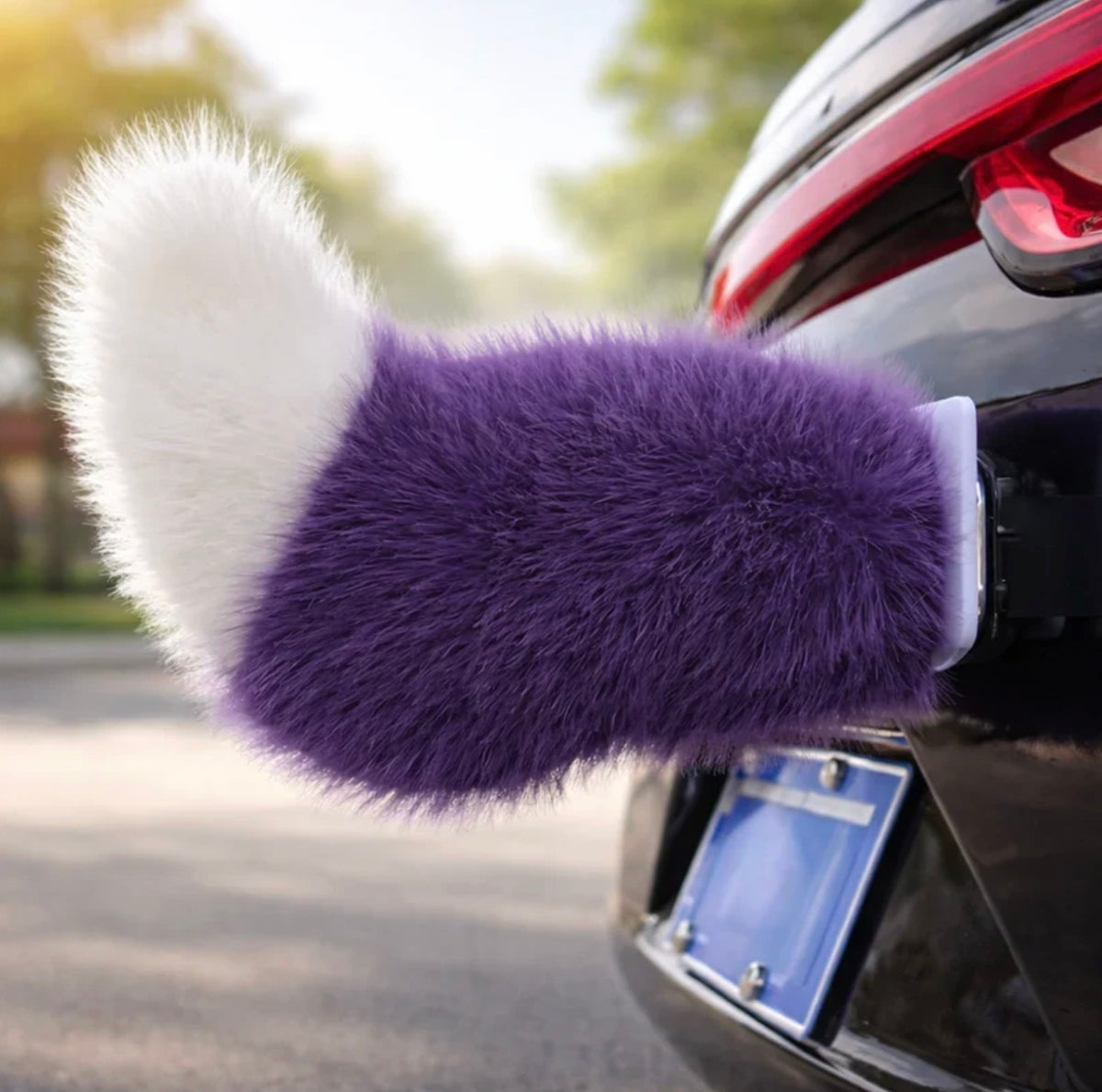 Wag Rider